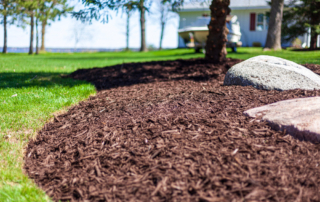 mulch landscaping tips