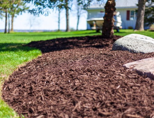 The Benefits of Using Mulch in Your Landscaping