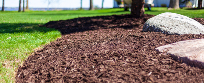 mulch landscaping tips