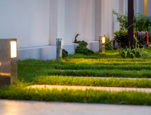 The Role of Lighting in Landscaping: Illuminating the Possibilities