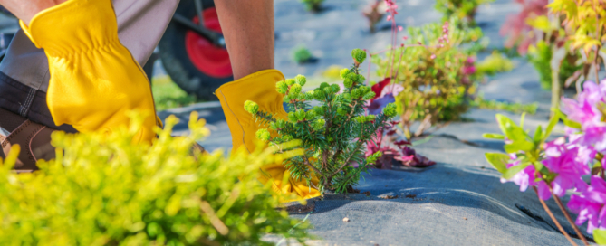 professional landscape design contractor long island ny