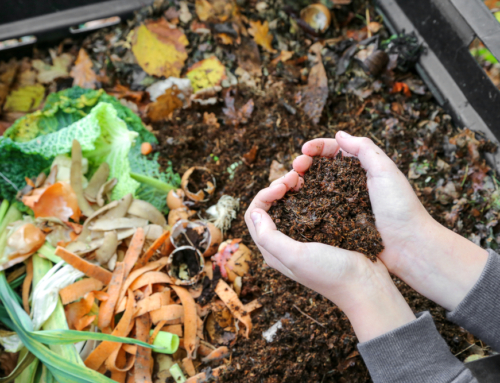The Magic of Black Gold: Why Use Compost in Your Landscape?