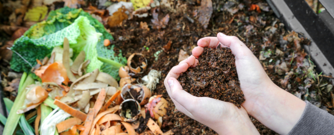 residential compost landscaping tips nyc long island