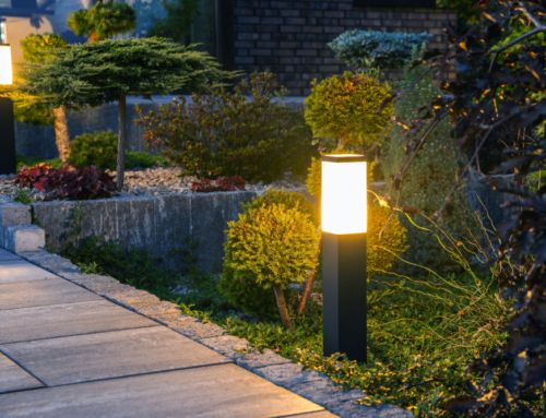 Illuminating Elegance: A Guide to Outdoor Landscape Lighting
