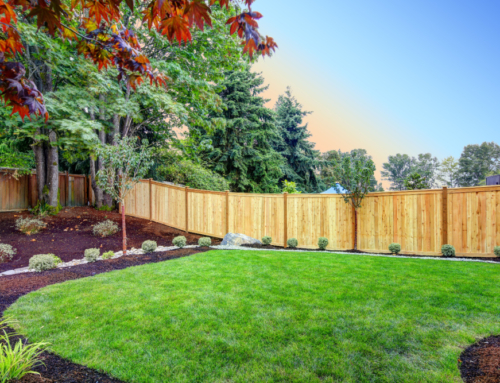 Elevating Your Outdoor Space: The Benefits of Using a Landscape Designer