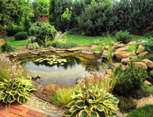 Enhancing Your Landscape with a Water Garden: Discover the Tranquility and Beauty