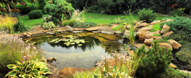 water garden installation landscape designer nassau county long island