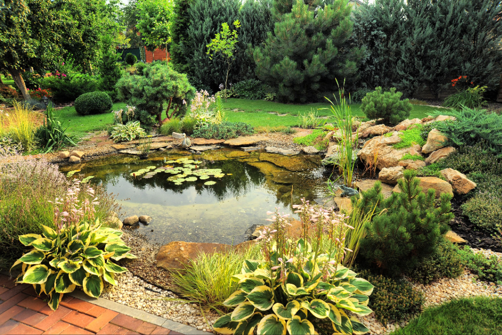 water garden installation landscape designer nassau county long island