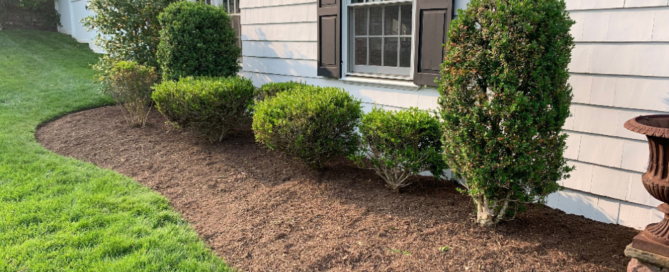 Transform Your Landscape with the Power of Mulching