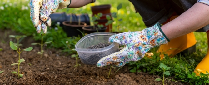 professional landscape design maintenance service new york