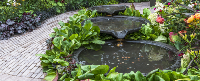 The Benefits of Adding a Water Garden to Your Landscape