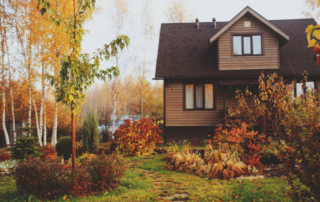 Choosing the Right Plants for Your Climate: A Guide to Smarter Landscaping