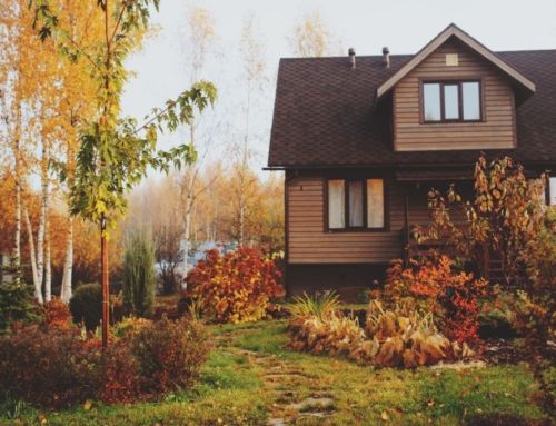 Choosing the Right Plants for Your Climate: A Guide to Smarter Landscaping