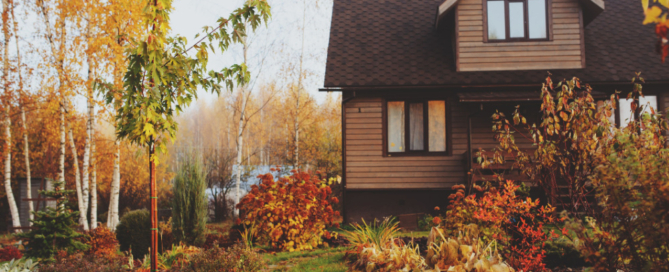 Choosing the Right Plants for Your Climate: A Guide to Smarter Landscaping