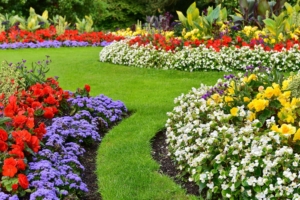 How to Design and Create a Beautiful Garden for Your Home