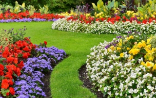 How to Design and Create a Beautiful Garden for Your Home