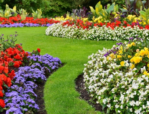 How to Design and Create a Beautiful Garden for Your Home