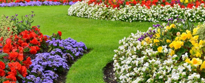 How to Design and Create a Beautiful Garden for Your Home