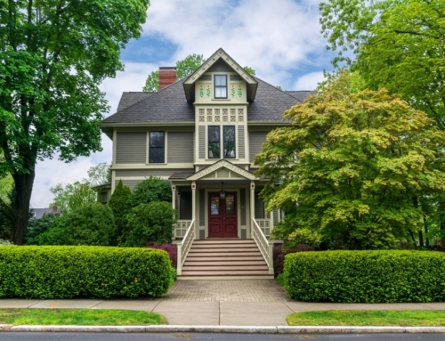 The Use of Trees and Shrubs in Landscaping