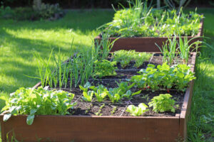 The Benefits of Using Raised Garden Beds for Gardening