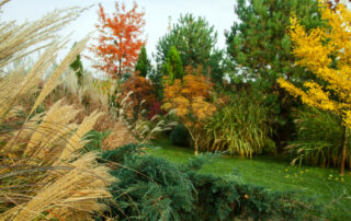 How to Choose the Right Plants for Your Climate