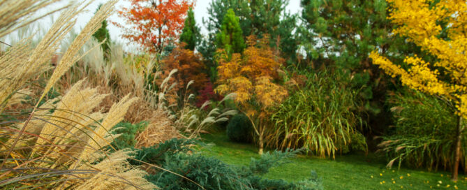 How to Choose the Right Plants for Your Climate