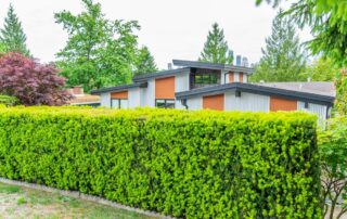 Landscaping for Privacy: Tips and Tricks