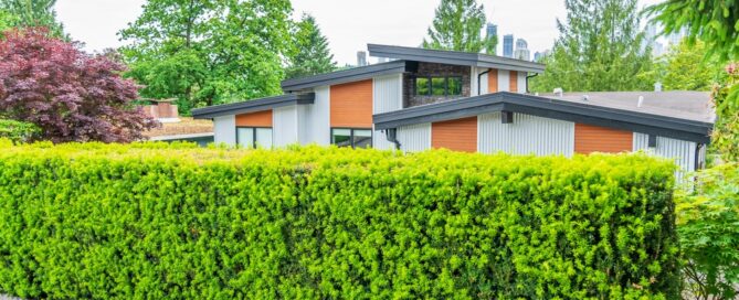 Landscaping for Privacy: Tips and Tricks